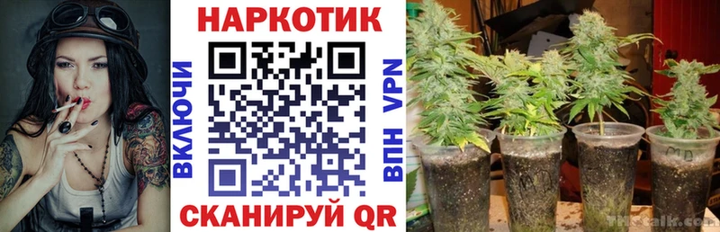 ГАШИШ Киров