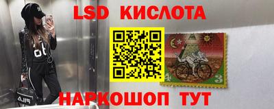 дурь Кингисепп