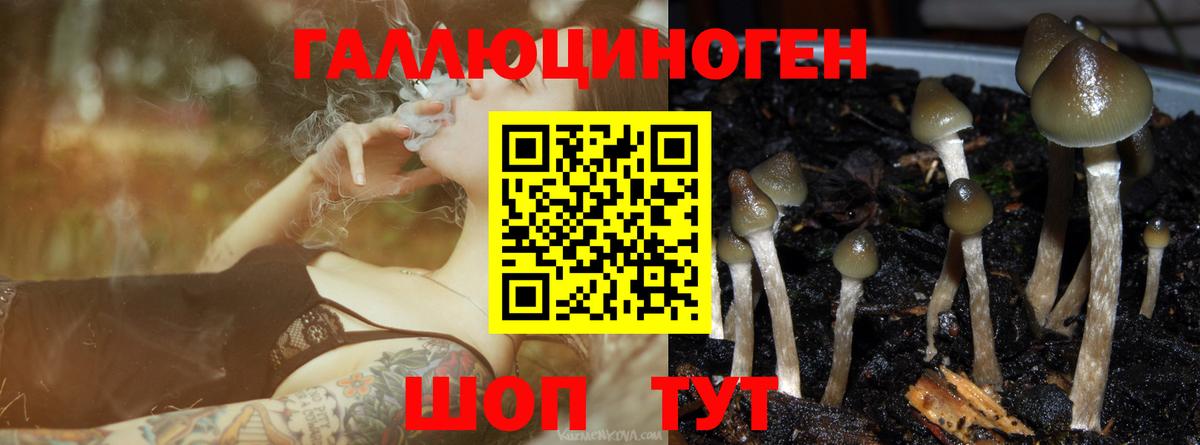 Псилоцибиновые грибы мицелий  Вход с VPN  Киров 